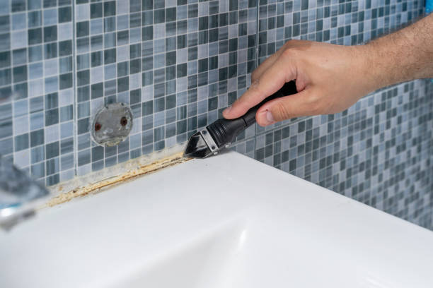 Best Localized Mold Remediation (e.g., coastal areas, humid climates) in St Augustine, FL